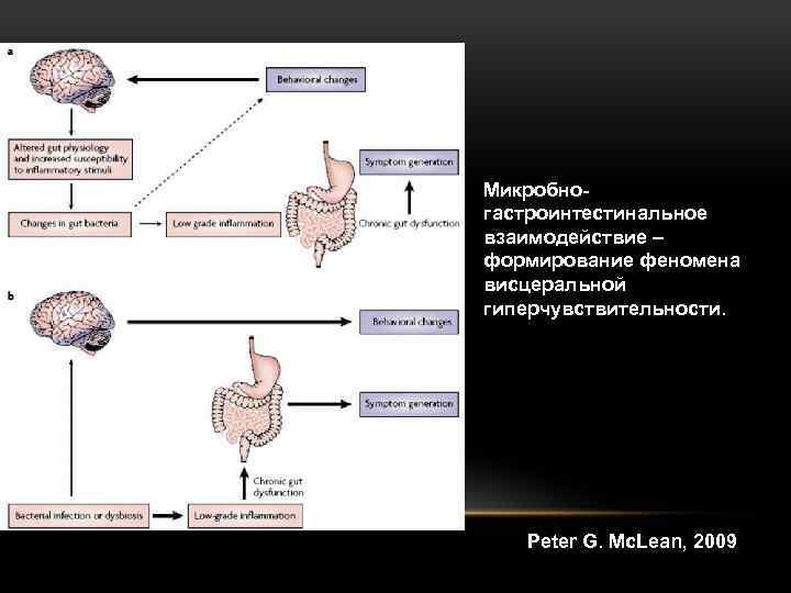 Микробногастроинтестинальное взаимодействие – формирование феномена висцеральной гиперчувствительности. Peter G. Mc. Lean, 2009 