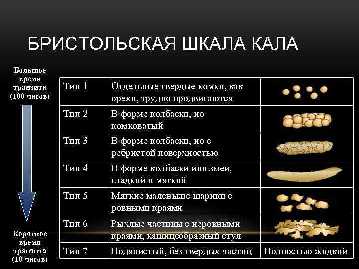 БРИСТОЛЬСКАЯ ШКАЛА Большое время транзита (100 часов) Отдельные твердые комки, как орехи, трудно продвигаются