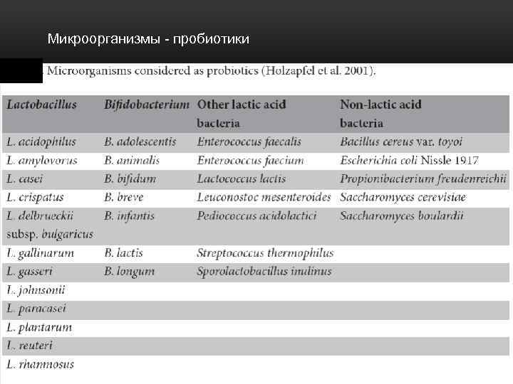 Микроорганизмы - пробиотики 