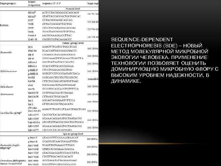 SEQUENCE-DEPENDENT ELECTROPHORESIS (SDE) – НОВЫЙ МЕТОД МОЛЕКУЛЯРНОЙ МИКРОБНОЙ ЭКОЛОГИИ ЧЕЛОВЕКА. ПРИМЕНЕНИЕ ТЕХНОЛОГИИ ПОЗВОЛЯЕТ ОЦЕНИТЬ