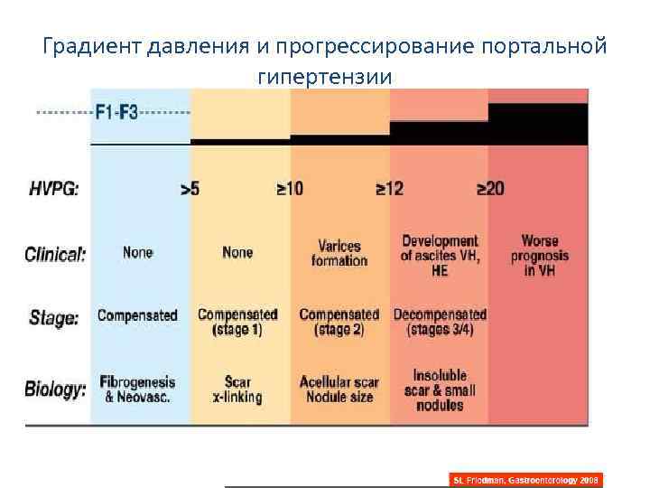 Градиент давления и прогрессирование портальной гипертензии 