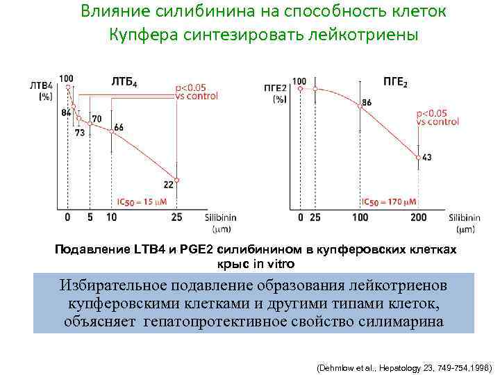 Влияние силибинина на способность клеток Купфера синтезировать лейкотриены Подавление LTB 4 и PGE 2