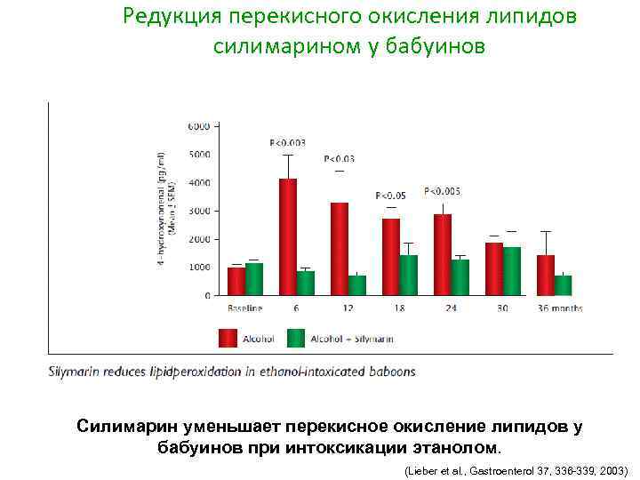 Редукция перекисного окисления липидов силимарином у бабуинов Силимарин уменьшает перекисное окисление липидов у бабуинов