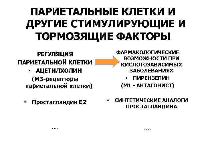 ПАРИЕТАЛЬНЫЕ КЛЕТКИ И ДРУГИЕ СТИМУЛИРУЮЩИЕ И ТОРМОЗЯЩИЕ ФАКТОРЫ ФАРМАКОЛОГИЧЕСКИЕ ВОЗМОЖНОСТИ ПРИ КИСЛОТОЗАВИСИМЫХ ЗАБОЛЕВАНИЯХ •