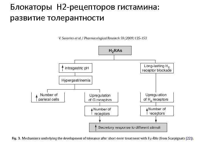 Блокаторы Н 2 -рецепторов гистамина: развитие толерантности 