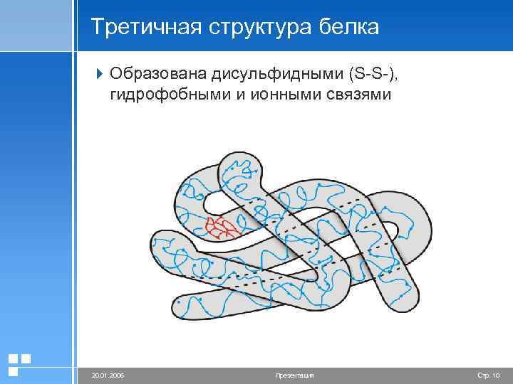 Третичная структура белка 4 Образована дисульфидными (S-S-), гидрофобными и ионными связями 20. 01. 2006