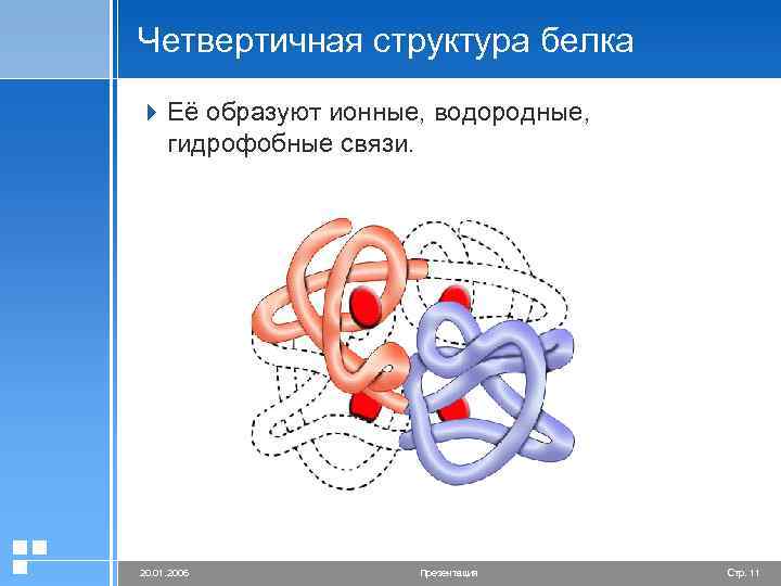 Четвертичная структура белка 4 Её образуют ионные, водородные, гидрофобные связи. 20. 01. 2006 Презентация