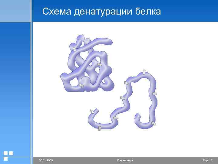 Схема денатурации белка 20. 01. 2006 Презентация Стр. 15 