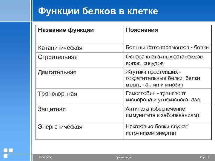 Функции белков в клетке Название функции Пояснения Каталитическая Большинство ферментов - белки Строительная Основа