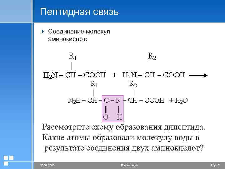 Пептидная связь 4 Соединение молекул аминокислот: Рассмотрите схему образования дипептида. Какие атомы образовали молекулу