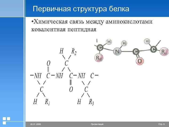 Первичная структура белка • Химическая связь между аминокислотами ковалентная пептидная 20. 01. 2006 Презентация