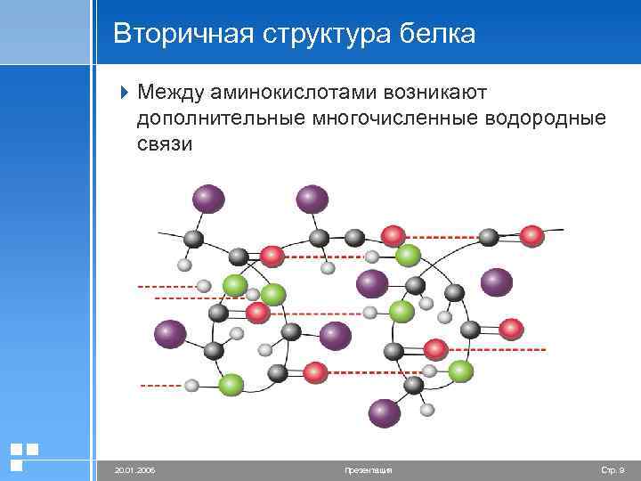 Вторичная структура белка 4 Между аминокислотами возникают дополнительные многочисленные водородные связи 20. 01. 2006