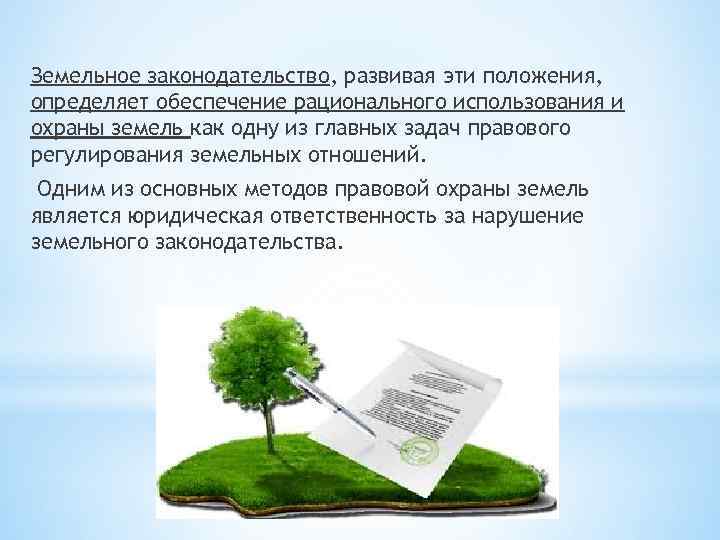 Земельное законодательство, развивая эти положения, определяет обеспечение рационального использования и охраны земель как одну