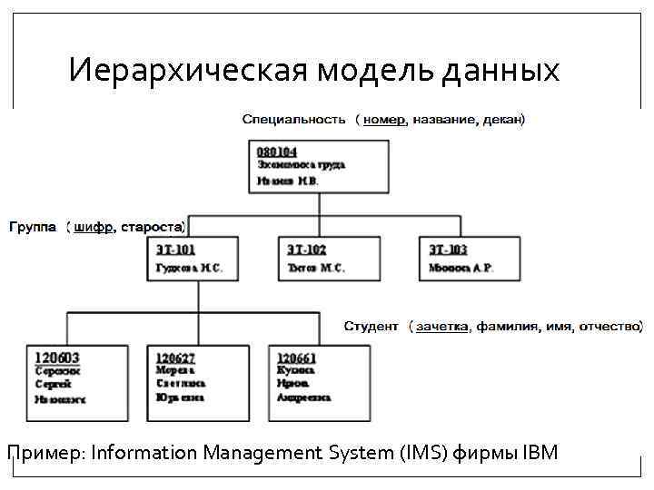 Иерархическая база данных схема