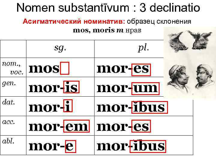 Nomen substantīvum : 3 declinatio Асигматический номинатив: образец склонения mos, moris m нрав nom.