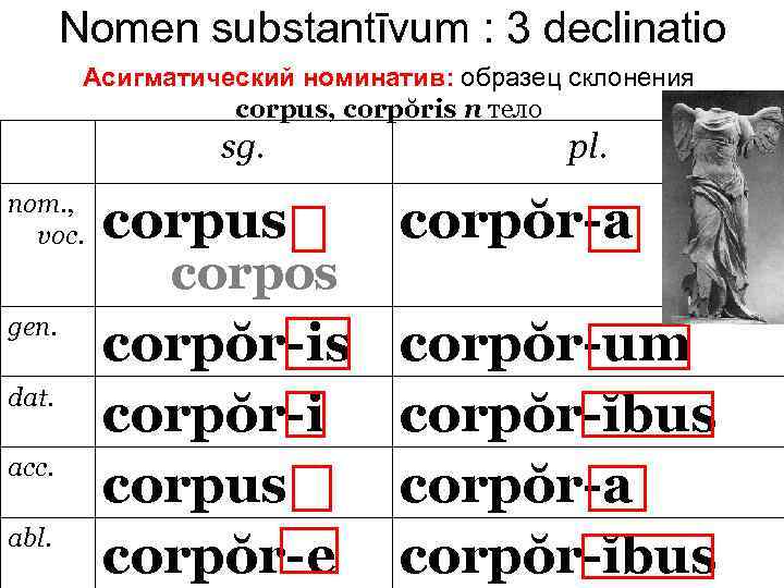 Nomen substantīvum : 3 declinatio Асигматический номинатив: образец склонения corpus, corpŏris n тело sg.