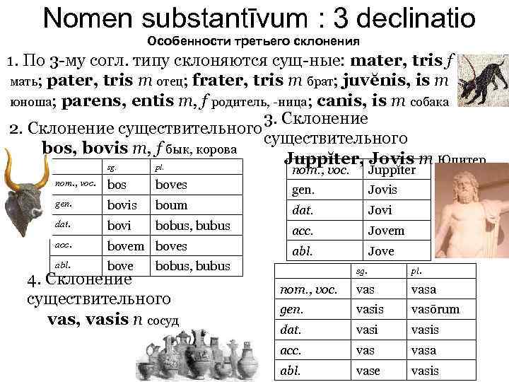 Nomen substantīvum : 3 declinatio Особенности третьего склонения 1. По 3 -му согл. типу