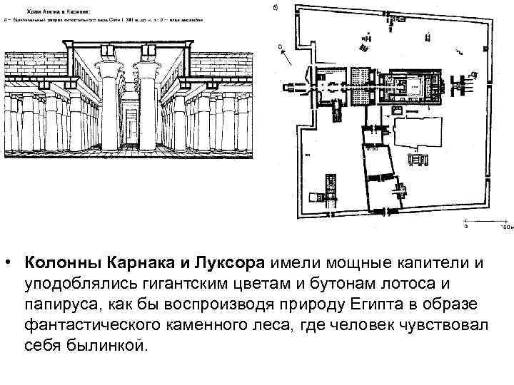  • Колонны Карнака и Луксора имели мощные капители и уподоблялись гигантским цветам и