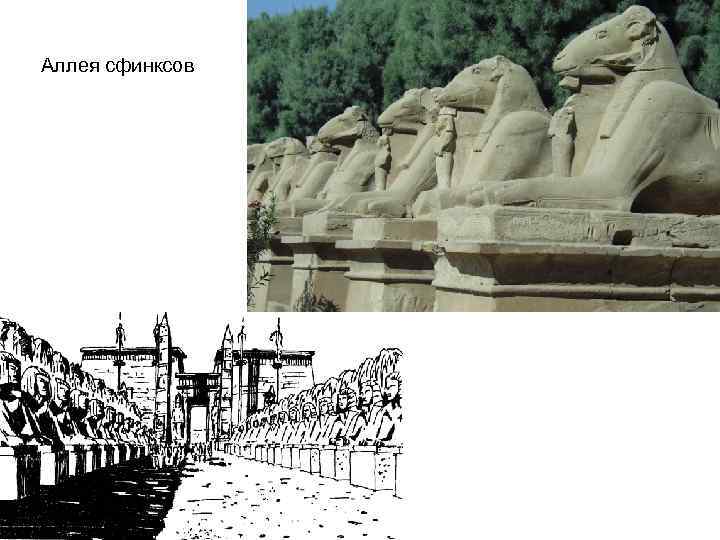 Аллея сфинксов 