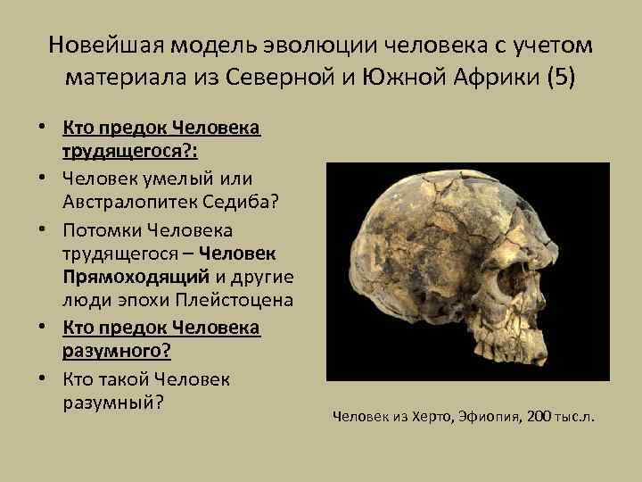 Новейшая модель эволюции человека с учетом материала из Северной и Южной Африки (5) •