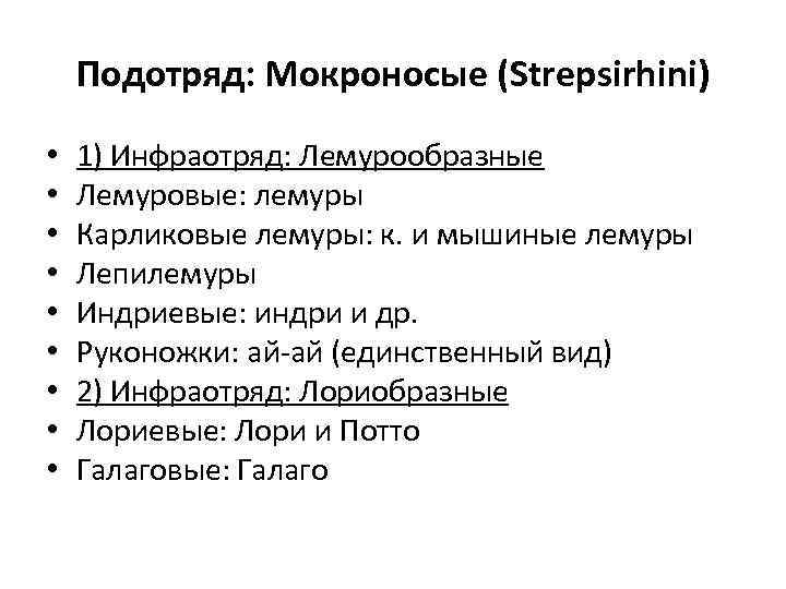 Подотряд: Мокроносые (Strepsirhini) • • • 1) Инфраотряд: Лемурообразные Лемуровые: лемуры Карликовые лемуры: к.