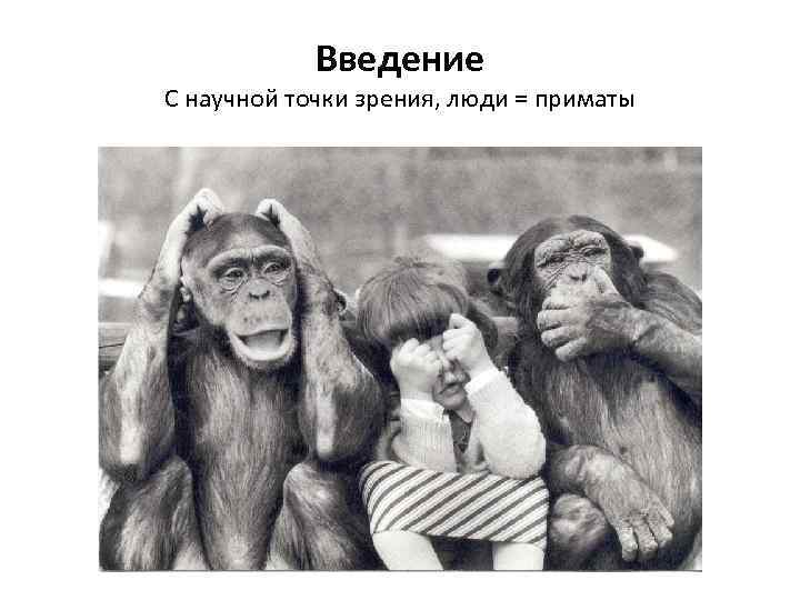 Введение С научной точки зрения, люди = приматы 
