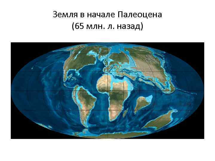 Земля в начале Палеоцена (65 млн. л. назад) 