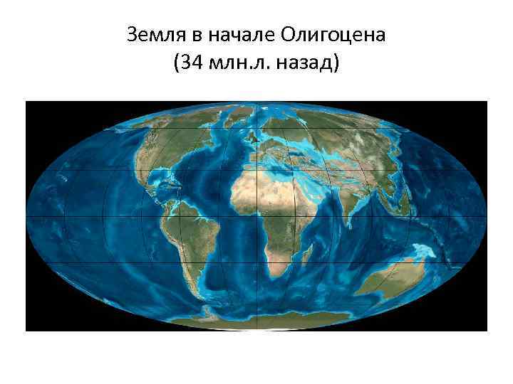 Земля в начале Олигоцена (34 млн. л. назад) 