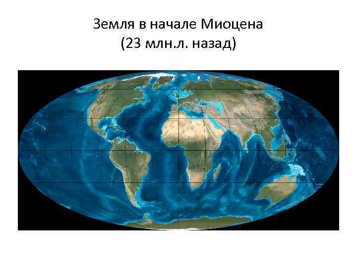 Земля в начале Миоцена (23 млн. л. назад) 
