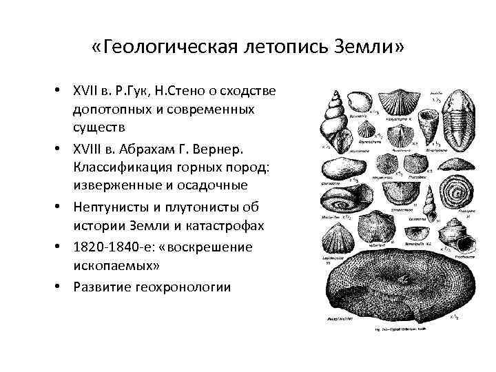  «Геологическая летопись Земли» • XVII в. Р. Гук, Н. Стено о сходстве допотопных