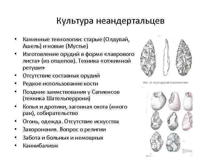 Культура неандертальцев • Каменные технологии: старые (Олдувай, Ашель) и новые (Мустье) • Изготовление орудий