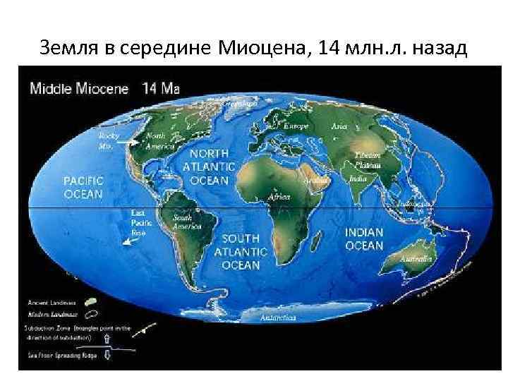 Земля в середине Миоцена, 14 млн. л. назад 