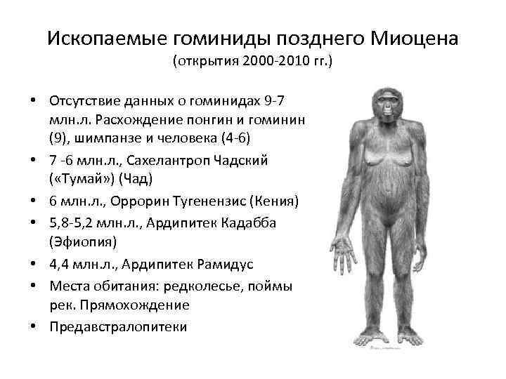 Один из признаков прямохождения современного человека. Характеристика ископаемых предков современного человека. Этапы эволюции гоминид. Ископаемые предки человека и их характеристика. Ископаемые предки человека таблица.