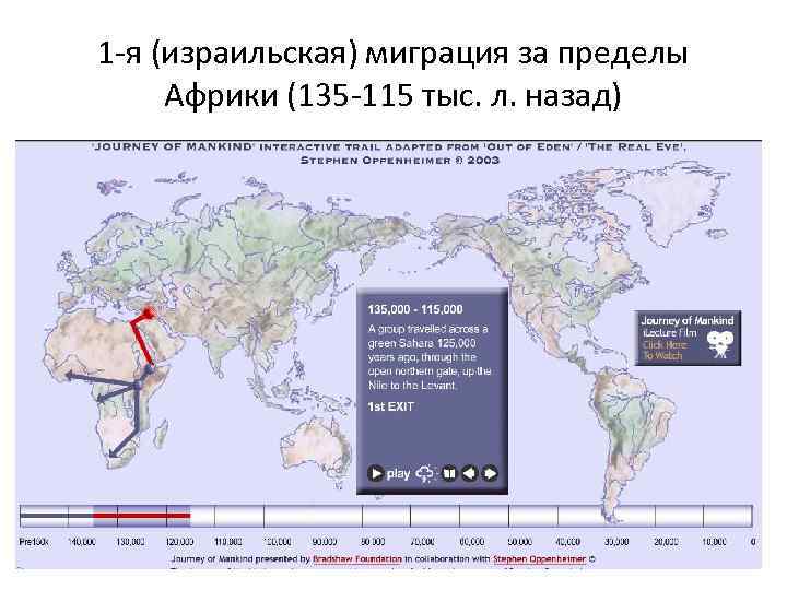 1 -я (израильская) миграция за пределы Африки (135 -115 тыс. л. назад) 