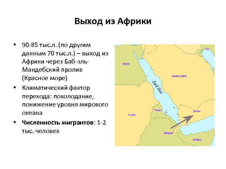 Выход из Африки • 90 -85 тыс. л. (по другим данным 70 тыс. л.