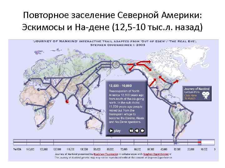 Повторное заселение Северной Америки: Эскимосы и На-дене (12, 5 -10 тыс. л. назад) 