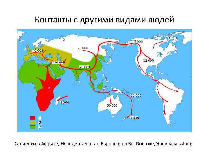 Контакты с другими видами людей Сапиенсы в Африке, Неандертальцы в Европе и на Бл.