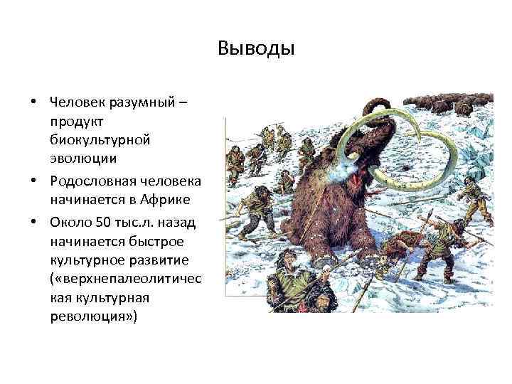 Выводы • Человек разумный – продукт биокультурной эволюции • Родословная человека начинается в Африке