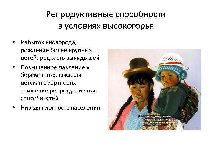 Репродуктивные способности в условиях высокогорья • Избыток кислорода, рождение более крупных детей, редкость выкидышей