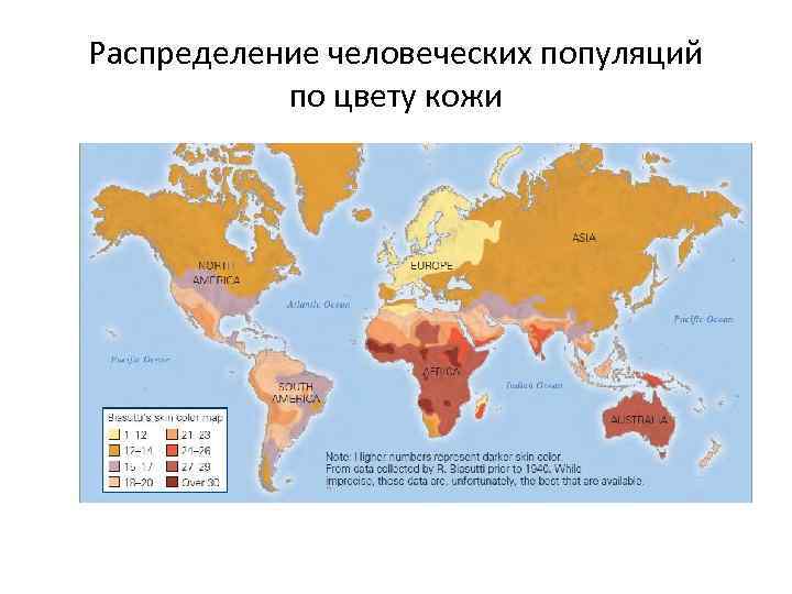 Распределение человеческих популяций по цвету кожи 