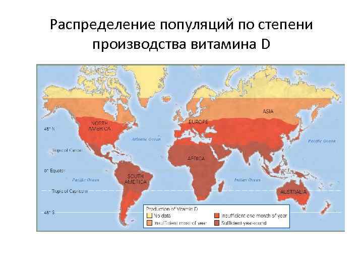 Распределение популяций по степени производства витамина D 