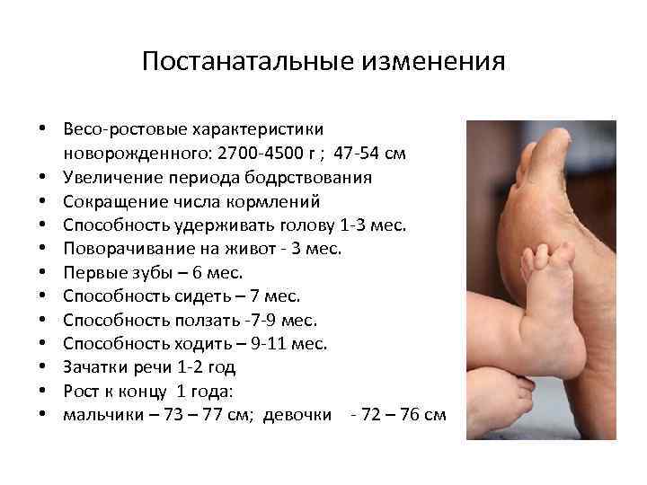 Постанатальные изменения • Весо-ростовые характеристики новорожденного: 2700 -4500 г ; 47 -54 см •