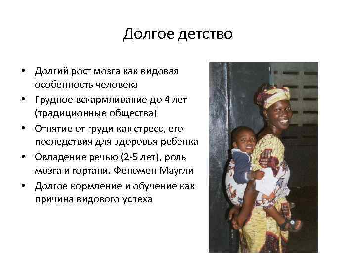 Долгое детство • Долгий рост мозга как видовая особенность человека • Грудное вскармливание до
