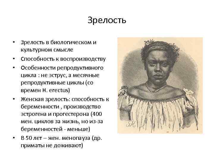 Зрелость • Зрелость в биологическом и культурном смысле • Способность к воспроизводству • Особенности