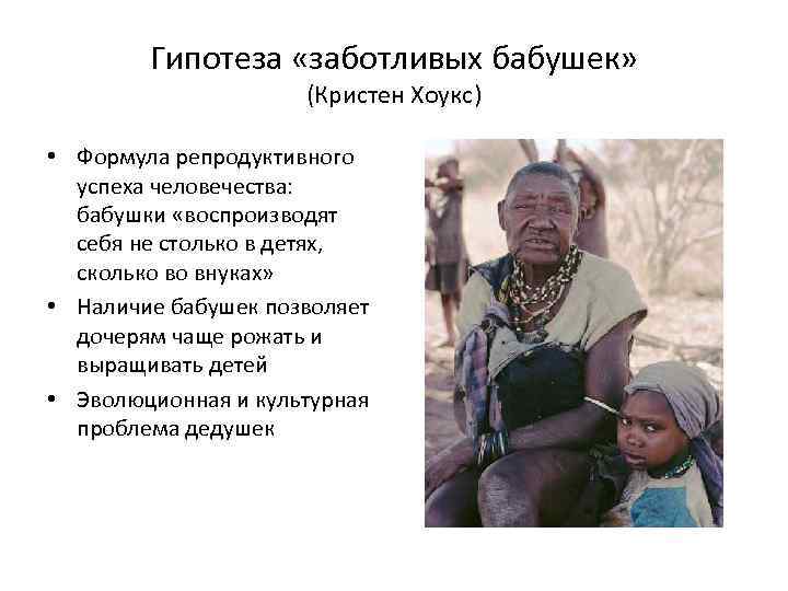 Гипотеза «заботливых бабушек» (Кристен Хоукс) • Формула репродуктивного успеха человечества: бабушки «воспроизводят себя не