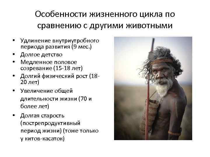 Особенности жизненного цикла по сравнению с другими животными • Удлинение внутриутробного периода развития (9