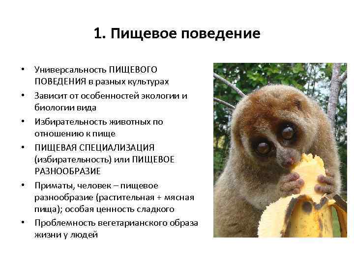 1. Пищевое поведение • Универсальность ПИЩЕВОГО ПОВЕДЕНИЯ в разных культурах • Зависит от особенностей