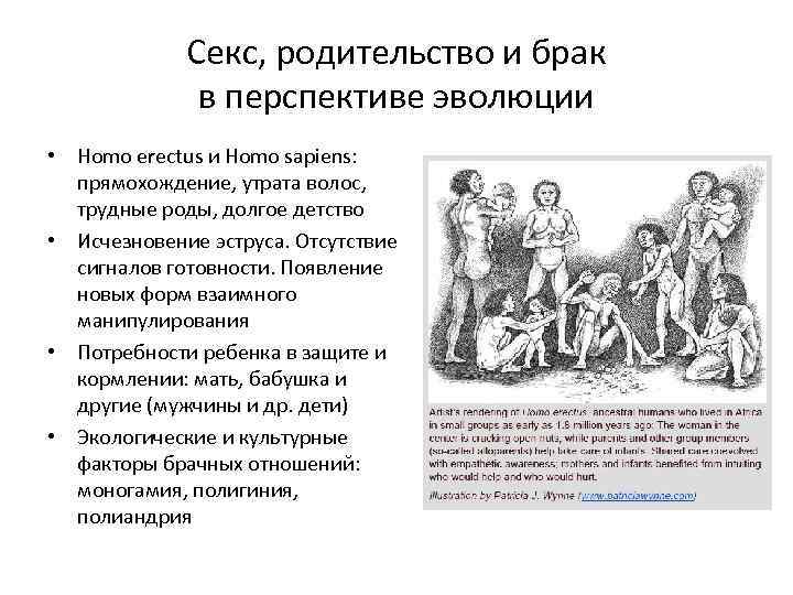 Секс, родительство и брак в перспективе эволюции • Homo erectus и Homo sapiens: прямохождение,