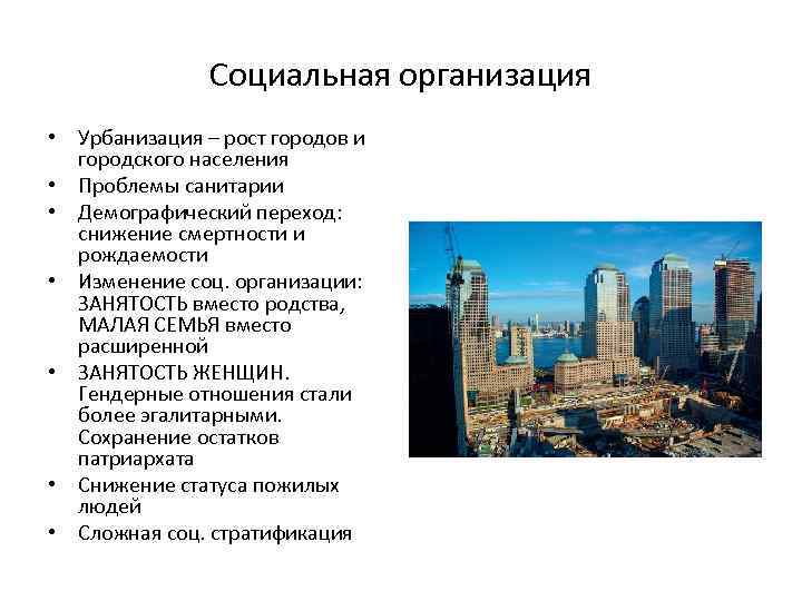 Социальная организация • Урбанизация – рост городов и городского населения • Проблемы санитарии •