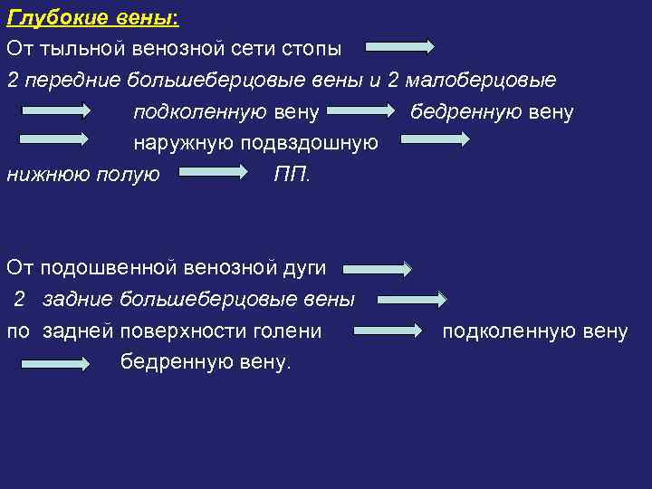 Глубокие вены: От тыльной венозной сети стопы 2 передние большеберцовые вены и 2 малоберцовые